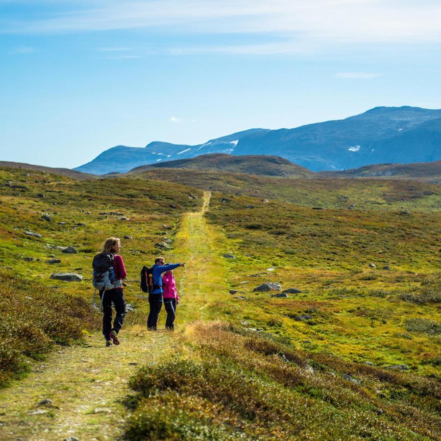 Sommerhotellet Vang I Valdres Екстер'єр фото